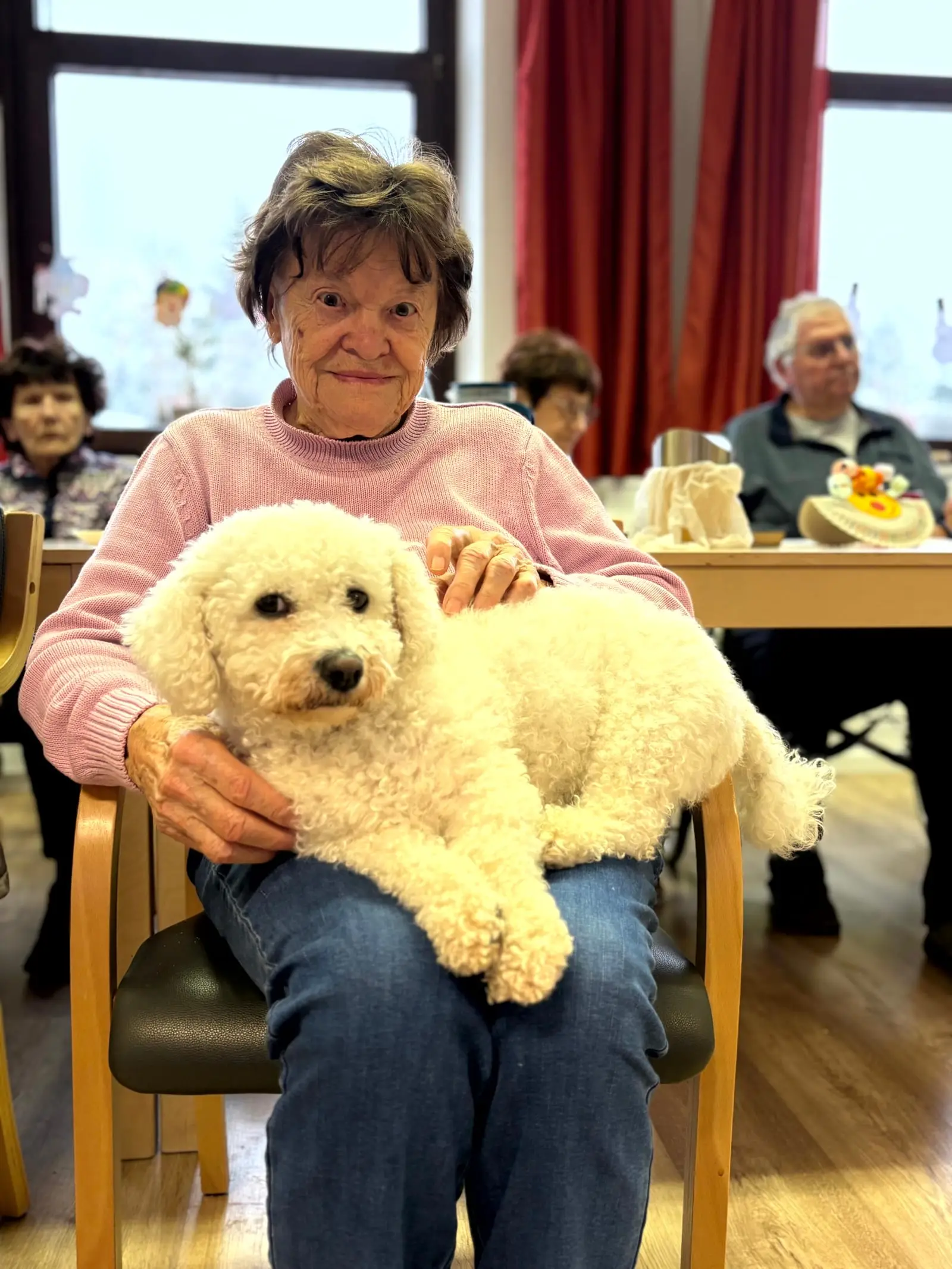 Eine lächelnde Tagesgästin sitzt im Aufenthaltsraum, auf ihrem Schoß liegt der weiße Tagespflegehund Luna
