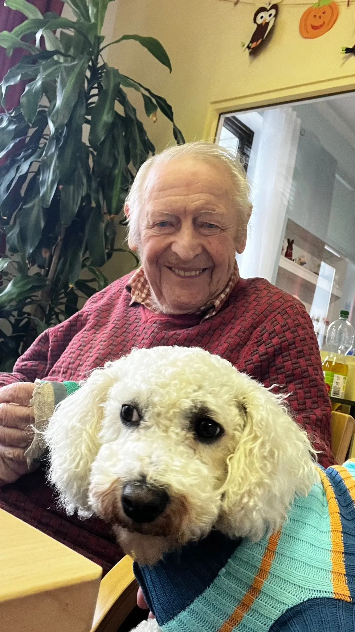 Ein Tagespflegegast hält Therapiehund Luna auf dem Arm und strahlt