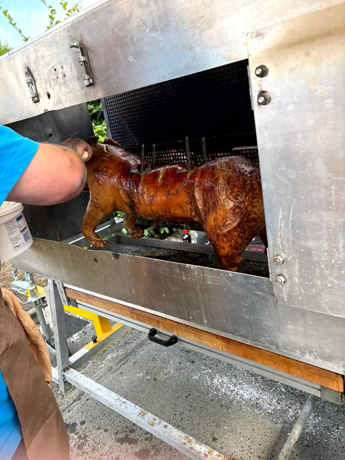 Ein Spanferkel dreht sich beim Sommerfest im Grill