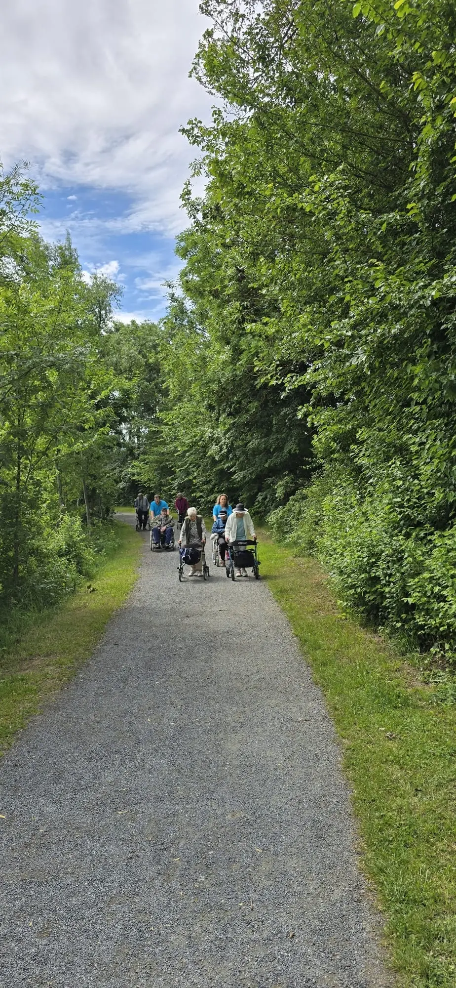 Gruppe mit Rollatoren beim Spaziergang durch eine grüne Allee